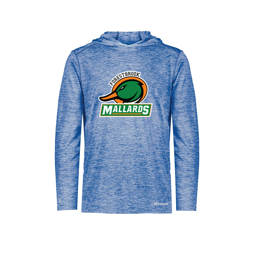 [FOLHCGRY-AS-LOGO1] Men's Charge Hoodie (Adult S, Royal, Logo 1)