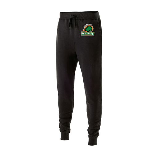 [229648.080.S-LOGO1] Youth 60/40 Fleece Jogger (Youth S, Black, Logo 1)